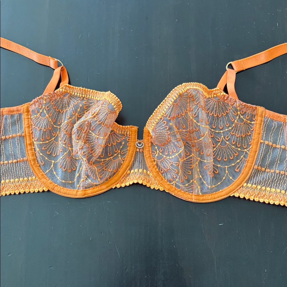 Aubade- pure vibration Elegant Orange Lace Bra - Picture 2 of 7